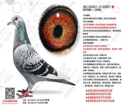 罗伊德×罗茜
