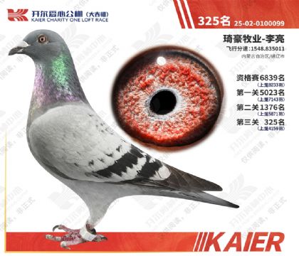 26年开尔大春棚决赛325名 雌