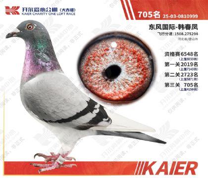 26年开尔大春棚决赛705名 雌