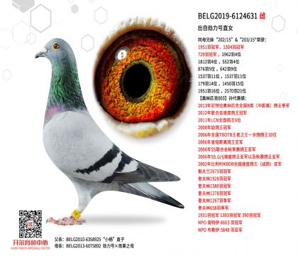 3母亲BELG2019-6124631图