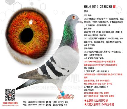 3母亲-3138788