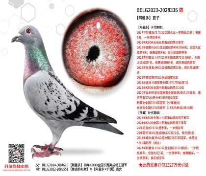 4父亲-2028336