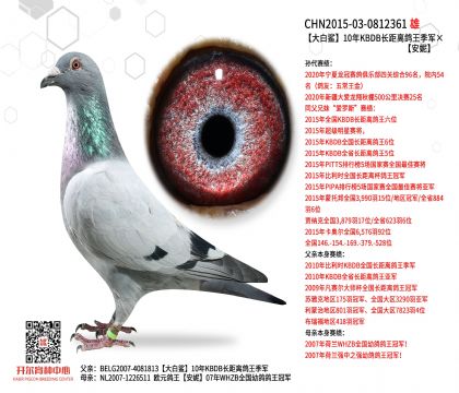 4父亲-0812361