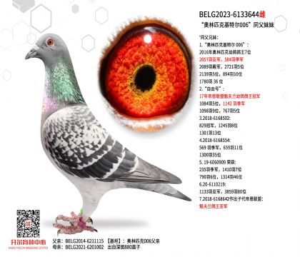 5母亲BELG2023-6133644