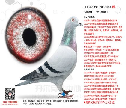 5母亲-2065444
