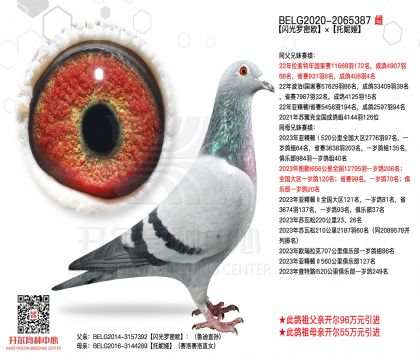 5母亲-2065387