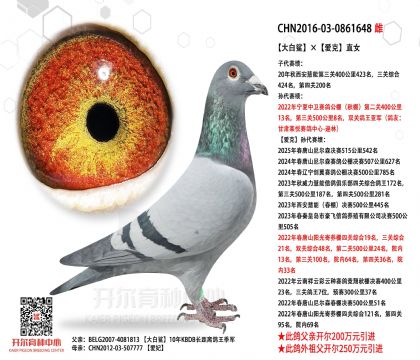 5母亲-0861648