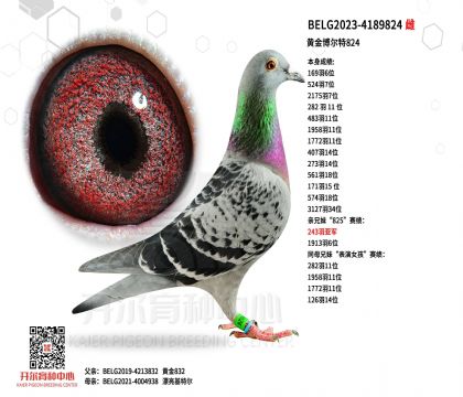 5母亲BELG2023-4189824