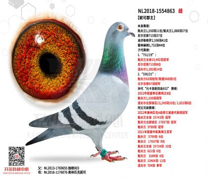 5祖母NL2018-1554863
