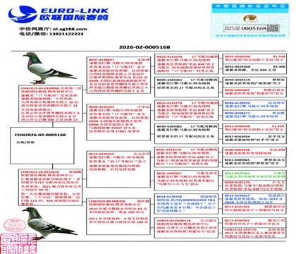 赠送鸽血统书