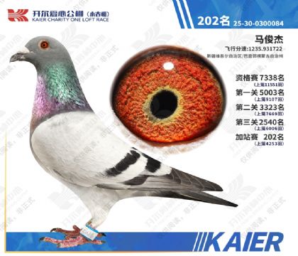 26年开尔小春棚加站赛202名 雄