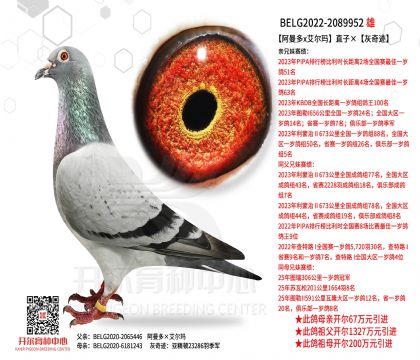 4父亲22-2089952