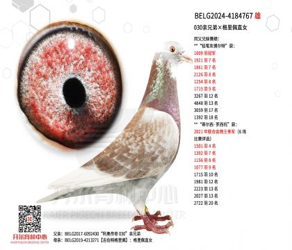 4父亲BELG2024-4184767