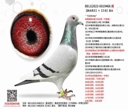 5母亲BELG2023-6019466