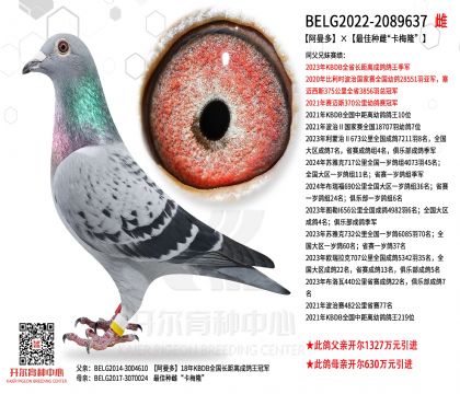 5母亲BELG2022-2089637