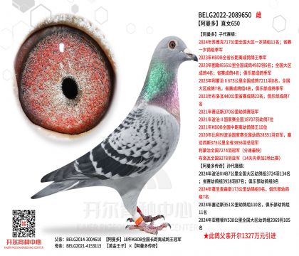 5母亲22-2089650