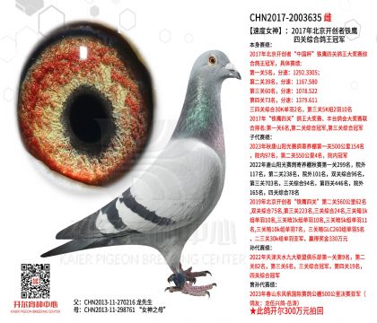 3母亲-2003635