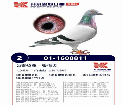 4父亲1608811