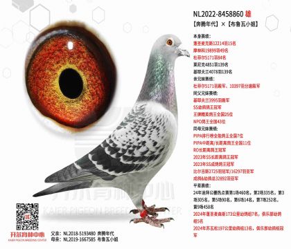 4父亲22-8458860