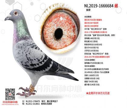 5母亲NL2019-1666684