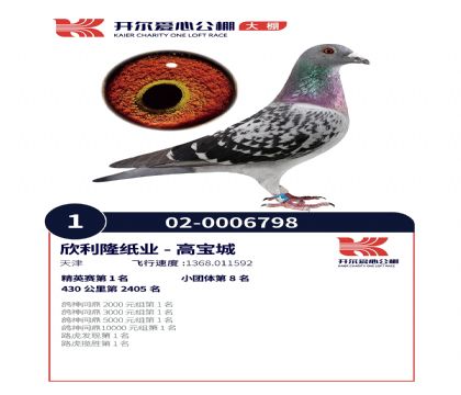 5母亲CHN2018-0006798