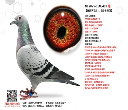 5母亲NL2025-1589401