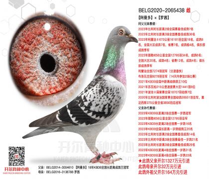 5母亲BELG2020-2065438