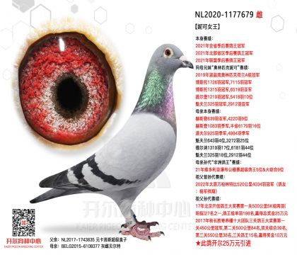 5母亲-1177679
