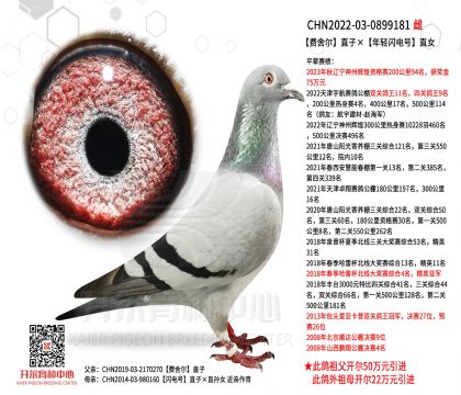 5母亲-0899181