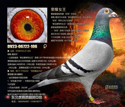 母亲