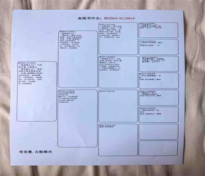 血统
