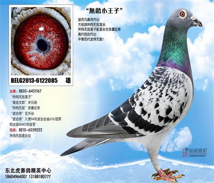 父亲