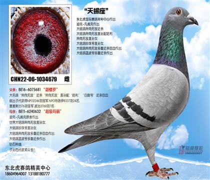 母亲
