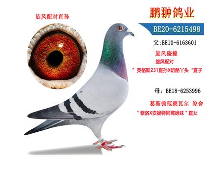 父母照片
