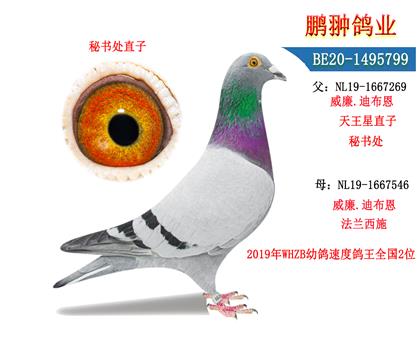 父母照片