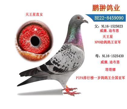 父母照片
