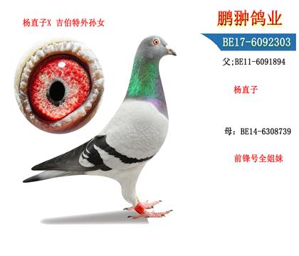 父母照片
