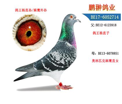 父母照片