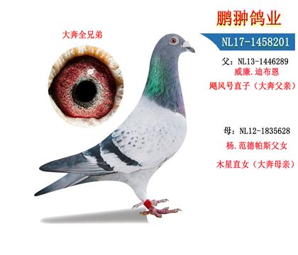 父母照片