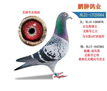 父母照片