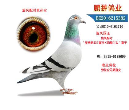 父母照片