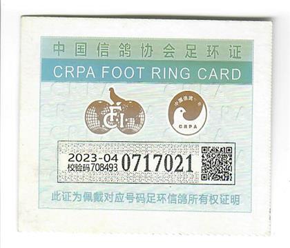 足环证