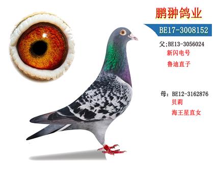 父母照片