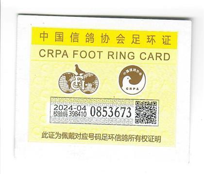 足环证