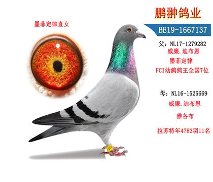 父母照片