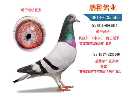 父母照片