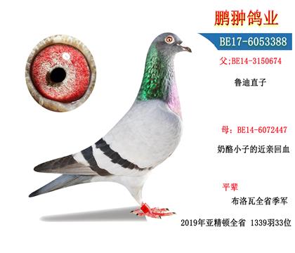 父母照片