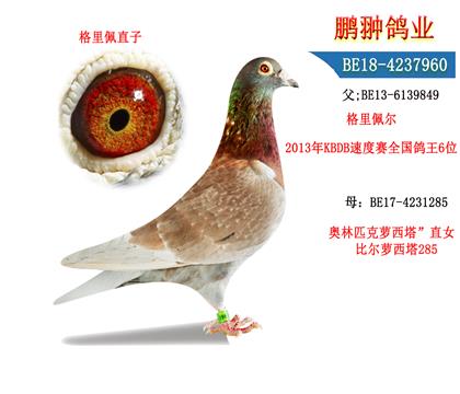 父母照片