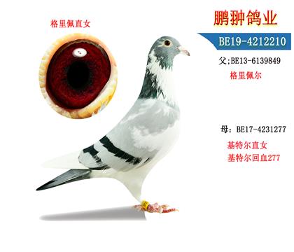父母照片