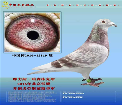 父亲